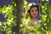 Kajal Hot Saree Photos